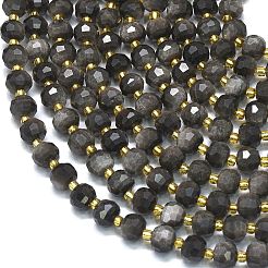 Natural Silver Obsidian Beads Strands&nbsp;G-K389-E84-01