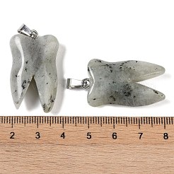 Natural Labradorite Pendants&nbsp;G-G115-01B