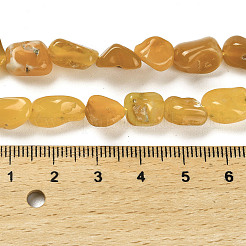 Natural Gemstone Beads Strands&nbsp;G-P497-01E-14