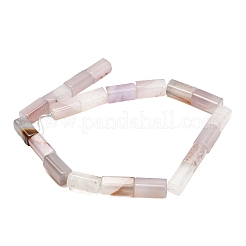 Natural Agate Beads Strands&nbsp;GG-L001-H01-02F