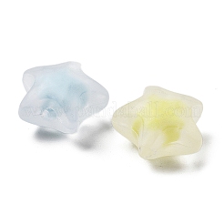 Frosted Transparent Acrylic Beads&nbsp;OACR-A032-13C