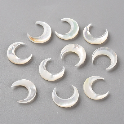Natural White Shell Beads&nbsp;SSHEL-Q311-004B-01-1
