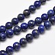 Natural Lapis Lazuli Round Bead Strands&nbsp;G-E262-01-8mm-8
