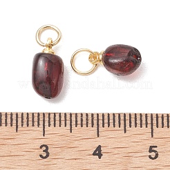 天然琥珀のペンダント  長方形チャーム  暗赤色  ゴールドカラー  10x5x5mm  丸カン：5x0.7ミリ  内径：3.5mm&nbsp;PALLOY-JF05375-01