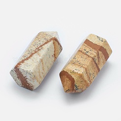 Natural Picture Jasper Pointed Beads&nbsp;G-G760-K13