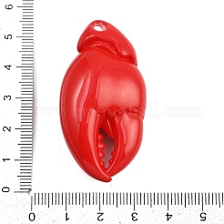 Acrylic Big Pendants&nbsp;LS-OACR-D313-01A