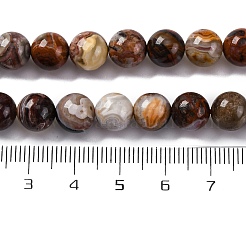 Natural Mexico Crazy Agate Beads Strands&nbsp;X-G-L615-A01-02