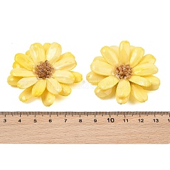 エポキシ樹脂とドライフラワーの大きなペンダント  デイジーフラワーチャーム  きいろ  50x49x10.5mm  穴：1mm&nbsp;RE-CBAAE94-01B
