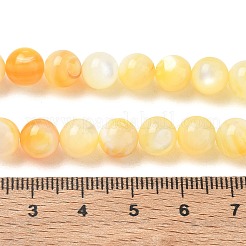 天然な黄色のシェルビーズ連売り  スムーズなラウンド  ゴールド  8mm  穴：1mm  約49個/連  14.96インチ（38cm）&nbsp;SH-CBACA76-16B