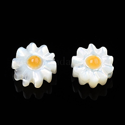 Natural White Shell Enamel Beads&nbsp;SSHEL-N034-124A-01