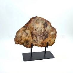 黒い鉄のスタンドに置かれた天然の化珪化木のスライス  素朴な家の装飾  270x240x100mm&nbsp;AJEW-H157-02