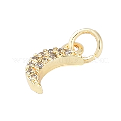 Rack Plating Brass Micro Pave Clear Cubic Zirconia Charms&nbsp;KK-Z060-09G-01