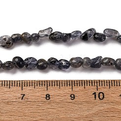 天然アイオライト/コーディエライト/ダイクロアイトビーズ連売り  ナゲット  5~9x4~6x3~4.5mm  穴：0.7mm  約75~89個/連  15.35''（39cm）〜15.94''（40.5cm）&nbsp;G-I389-A34-01A