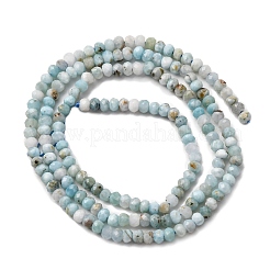 Natural Larimar Beads Strands&nbsp;G-F803-B01-01