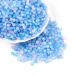 Baking Paint Glass Beads&nbsp;DGLA-T005-01A-05