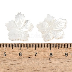 天然の白い貝殻の彫刻ビーズ  花  貝殻色  20x18.5x2.5mm  穴：1mm&nbsp;SSHEL-B006-06