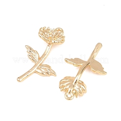 Brass Pendants&nbsp;KK-A288-01G-11
