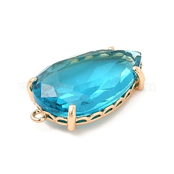 K9 Glass Pendants&nbsp;KK-E071-05KCG