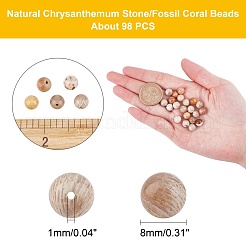 Natural Fossil Coral Beads Strands&nbsp;G-AR0003-18