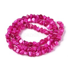天然淡水シェルビーズ連売り  ナゲット  染め  フクシア  0.5~8x3~7x3~7mm  穴：1mm  約86~108個/連  14.76~15.16インチ（37.5~38.5cm）&nbsp;SHEL-N037-04E