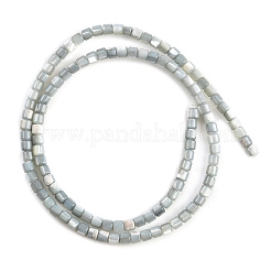 Natural Trochid Shell/Trochus Shell Bead Strands&nbsp;SSHEL-N034-77-C01