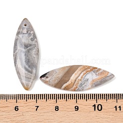 天然なメキシコの瑪瑙のペンダント  馬の目のチャーム  37~38.5x13~13.5x3.5~4.5mm  穴：1.2mm&nbsp;G-K381-18