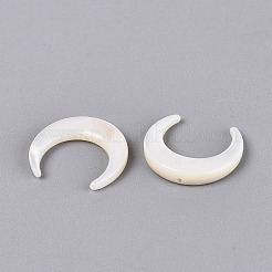 Natural White Shell Beads&nbsp;SSHEL-T012-07-01