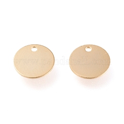 304 Stainless Steel Charms&nbsp;STAS-K195-12G-02