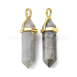 Natural Labradorite Pointed Pendants&nbsp;G-G025-01G-38