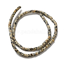 天然石ダルメシアンジャスパービーズ連売り  ディスク  ヒシビーズ  4x2mm  穴：1mm  約173個/連  15.39~15.43''（39.1~39.2センチメートル）&nbsp;G-E612-A01-B
