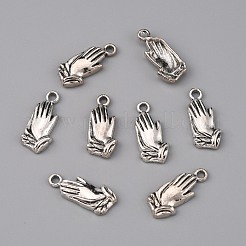 Zinc Tibetan Style Alloy Pendants&nbsp;FIND-TAC0001-48AS
