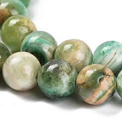 Natural Green Line Jasper  Beads Strands&nbsp;G-B128-A03-04