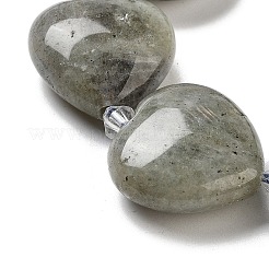 Natural Labradorite Beads Strands&nbsp;G-C150-A17-01