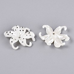 CCBプラスチックビーズ  星のついたアヤメの花  ブラック  40~40.5x44~45x9~10mm  穴：2.8mm&nbsp;PL-N007-01C