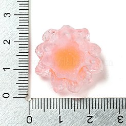 Luminous Transparent Resin Decoden Cabochons&nbsp;CRES-F032-B03