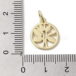Brass Enamel Charms&nbsp;KK-E092-15G-01