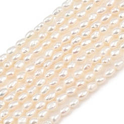 天然養殖淡水パールビーズ連売り  ライス  グレード3a+  パパイヤホイップ  3~3.5mm  穴：0.5mm  約78~81個/連  13.58~14.17''（34.5~36センチメートル）&nbsp;PEAR-F020-17