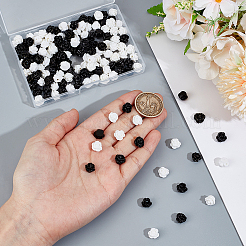 160Pcs 2 Colors Opaque Resin Beads&nbsp;CRES-PH0001-23