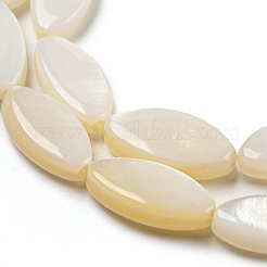 Natural Freshwater Shell Beads Strands&nbsp;BSHE-Z005-05