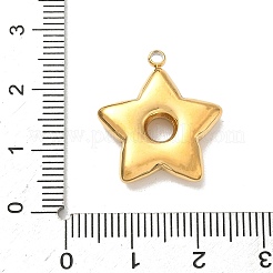 304ステンレスペンダント  スターのチャーム  ゴールドカラー  21.5x19.5x4mm  穴：1.8mm&nbsp;STAS-L301-13G