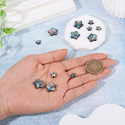 12pcs2スタイルナチュラルアワビシェル/パウアシェルビーズ  スター  カラフル  9~15.5x9~16x3~3.5mm  穴：0.8~1mm  6個/スタイル&nbsp;SHEL-TA0001-40