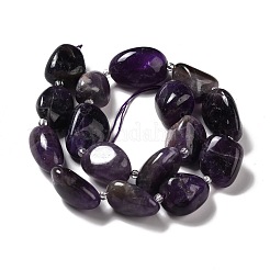 Natural Amethyst Beads Strands&nbsp;G-B026-02A