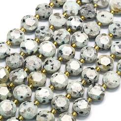 Natural Sesame Jasper Beads Strands&nbsp;G-C116-A141-01