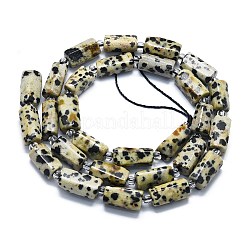 Natural Dalmatian Jasper Beads Strands&nbsp;G-K245-I03-01
