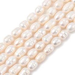 天然養殖淡水パールビーズ連売り  ライス  グレードA  古いレース  7~8mm  穴：0.7mm  約38~39個/連  13.78~13.98''（35~35.5センチメートル）&nbsp;PEAR-I007-01D-04A