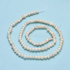 天然養殖淡水パールビーズ連売り  ポテト  ベージュ  2.5~3x3.5~4.5x3~4mm  穴：0.5mm  約119~124個/連  13.78~13.90インチ（35~35.3cm）&nbsp;PEAR-F018-11