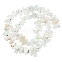 Natural Green Opal Beads Strands&nbsp;G-L657-E03-01