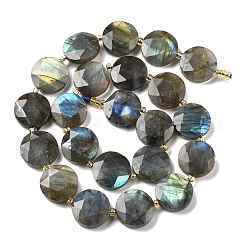 Natural Labradorite Beads Strands&nbsp;G-C116-A164-03
