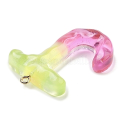 Resin Pendant&nbsp;LS-FIND-Q107-01J-03