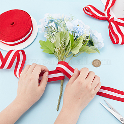 25 Yards Polyester Striped Ribbons&nbsp;OCOR-GO0001-29E